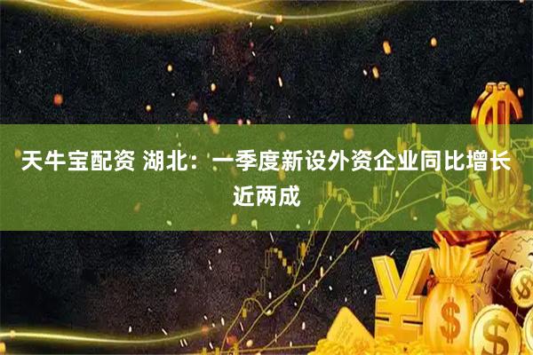 天牛宝配资 湖北：一季度新设外资企业同比增长近两成
