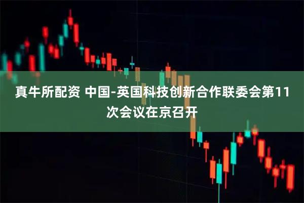 真牛所配资 中国-英国科技创新合作联委会第11次会议在京召开