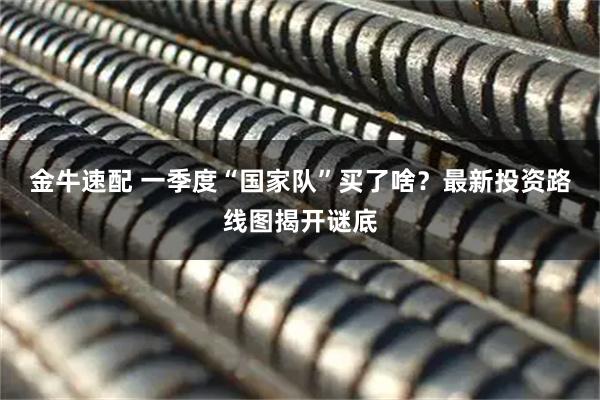 金牛速配 一季度“国家队”买了啥？最新投资路线图揭开谜底