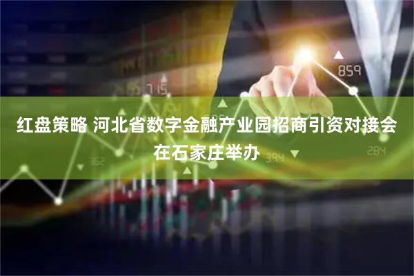 红盘策略 河北省数字金融产业园招商引资对接会在石家庄举办