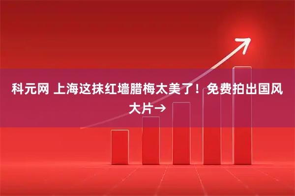 科元网 上海这抹红墙腊梅太美了！免费拍出国风大片→