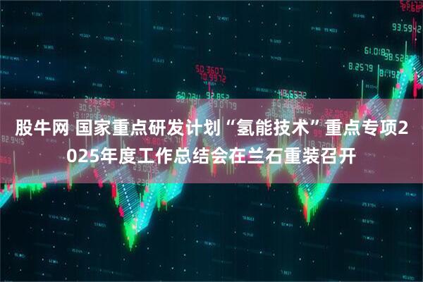 股牛网 国家重点研发计划“氢能技术”重点专项2025年度工作总结会在兰石重装召开