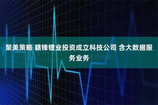 聚美策略 赣锋锂业投资成立科技公司 含大数据服务业务